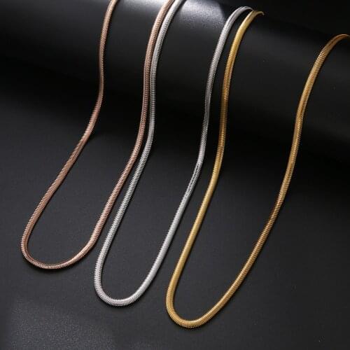 2021 Fashion Jewelry Stainless Steel Snake Bone Chain Necklace Charm Titanium Steel Long Necklace for Womens Accessories