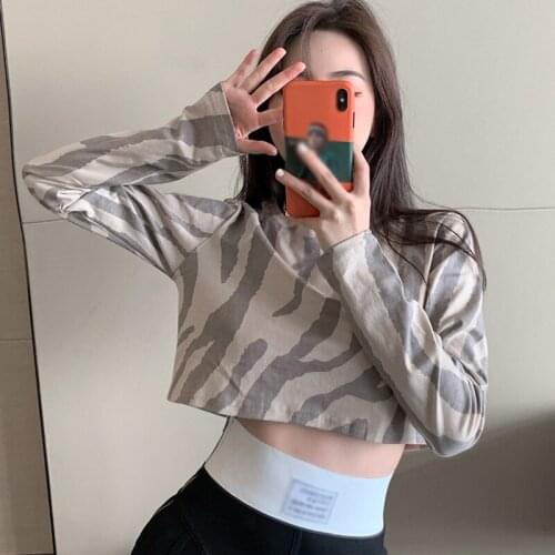 Womens Zebra Print Long-sleeved Tshirt Spring And Autumn Loose High Waist Sexy Short Round Neck Tee Shirt