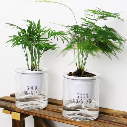 Automatic Water Absorption Hydroponic Flower Pot Round Creative Succulent Plant Pots Self-watering Flowerpot PET Blow Bottle