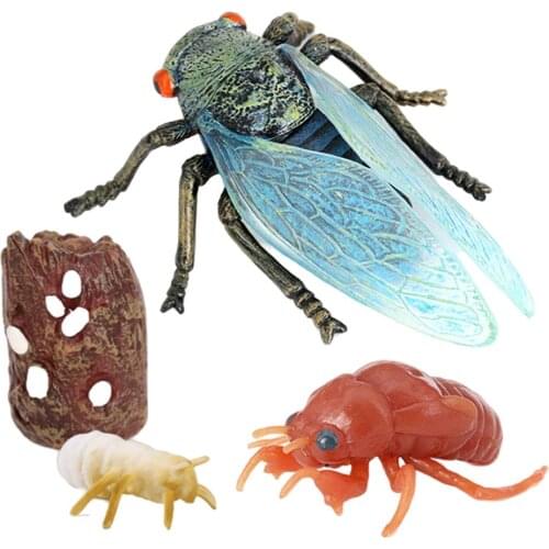 Insect Cicada Lore Life Cycle - 4 Pcs Insect Figure Shows Life of Lady Bug
