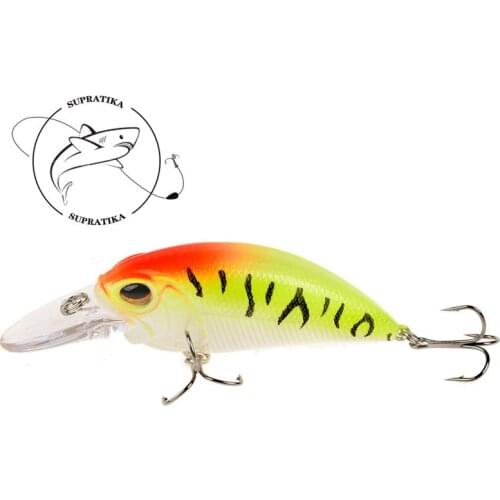 Bionic Crank 9cm/15.3g Anti-Corrosion High Quality Fishing Lure Hard Bait 3D Eyes Freshwater Professional Plastic Fishing Bait