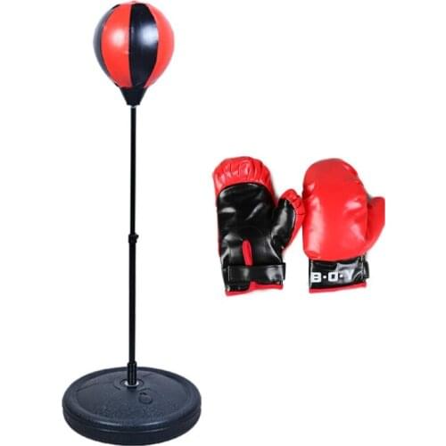 Indoor Boxing Ball Set for Kids Boys Girls Punching Ball with Stand Boxing Glove