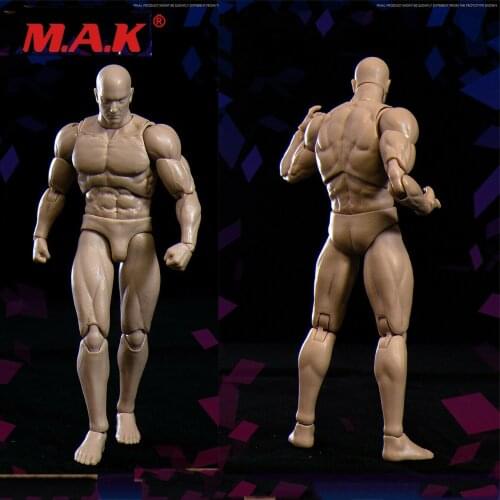 In Stock VSD003 1:12 Strong Muscular Body 6" Inch Male Action Figure Body Item VTOYS x BMS