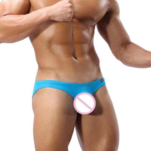 Brave Person Brand Mens Underwear Sexy Briefs New Arrivals Male Underpants Low-waist Nylon Underwear Briefs 3pcs/lot