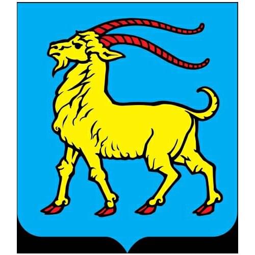 Dawasaru Car Sticker for Laptop Truck Motorcycle Auto,20cm*20cm