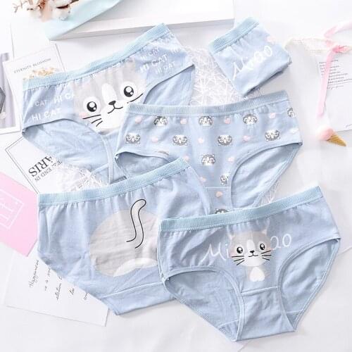 2020 Hot Sale high quality Panties Underwear Teenage Girl Free Shipping 6pc/lot cotton Fashion blue Briefs Ladies Young student