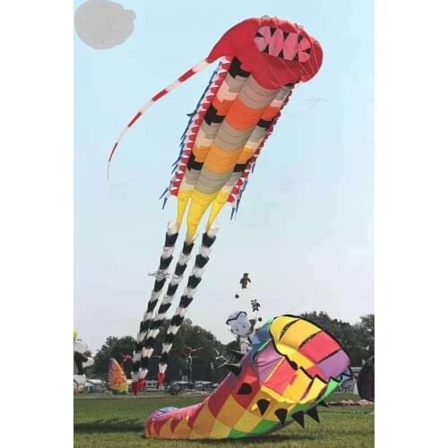 Large Cuttlefish Single kite big kites for adults cometas para adultos kite flying toys windsock pulpo soft koi fish ripstop