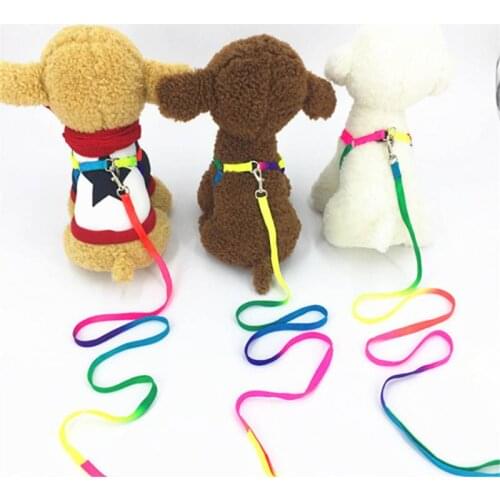 Dog Cat Harness Leash Adjustable Harness Vest Leash Collar Puppy Small Dog Outdoor Walking Chihuahua Terier Schnauzer