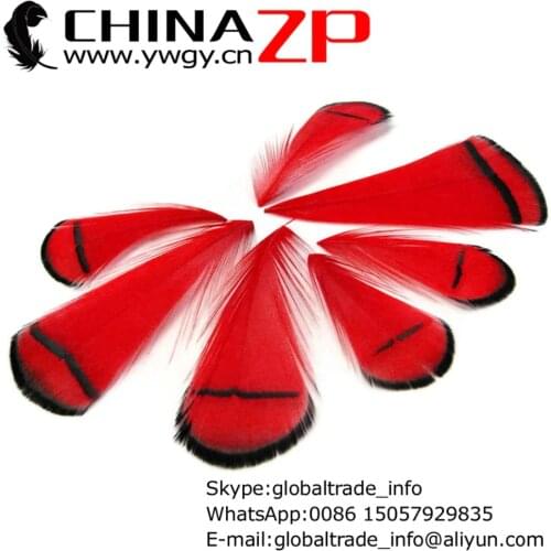 CHINAZP Factory Wholesale 100pcs/lot Exporting Good Quality Dyed Red Lady Amherst Pheasant Tippet Feather