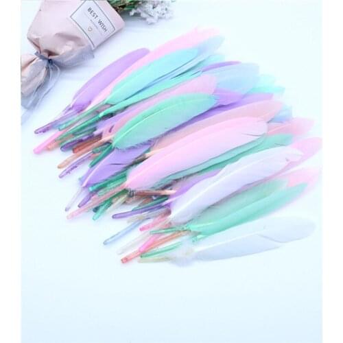 Natural Duck and Goose Feathers Plumes 4-20cm Colourful Feather for Wedding Party Clothing Decoration DIY Craft Feathers