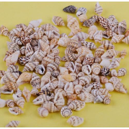100pcs Small Sea Shells Assorted Natural Seashells Conch Crafts DIY Decoration