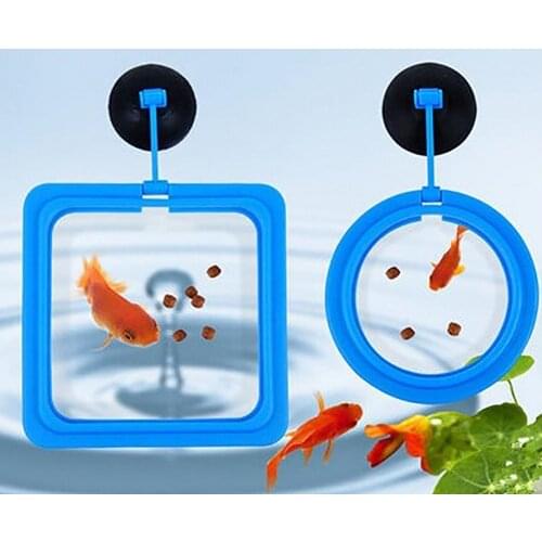 Fish Feeding Aquarium Floating Food Floating Food Buoyancy Circle Water Plant Suction Cup Buoyancy Circle
