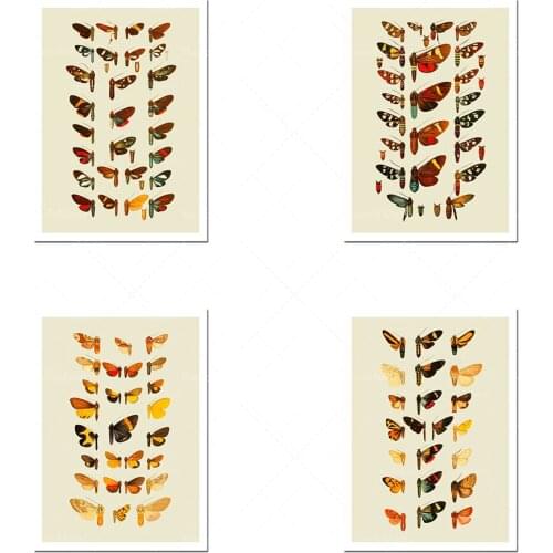 Vintage butterfly art prints, two Giclee prints and vintage illustrations from the 1800s, digital prints, autumn decoration