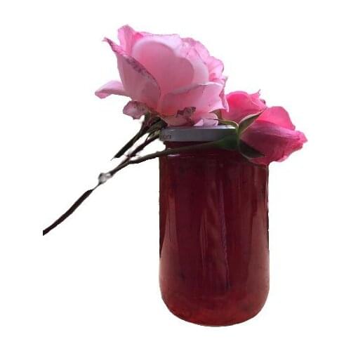 Декоративные овощи Aselya China At AliExpress