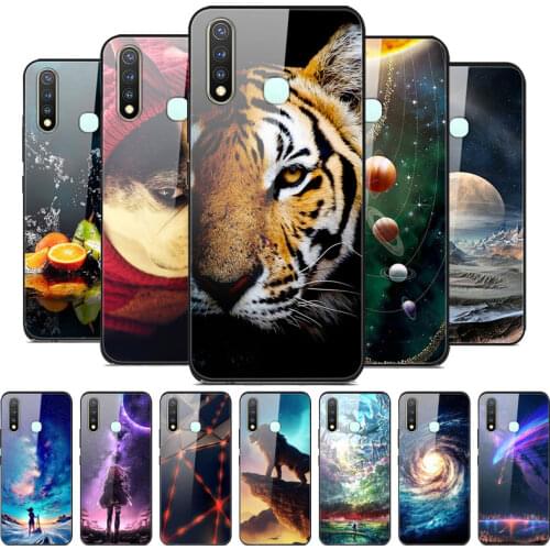 Tempered Glass Case For Vivo Y19 Case Cover Bumper on For Vivo Y19 2019 Phone Back Cover for VivoY19 Y 19 Vivo 1915 Hard Case