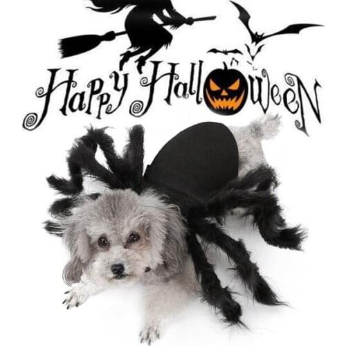 Halloween Spider Pet Costume - Halloween Cosplay Costumes for Cat Dog, Funny Party Dress up Accessories