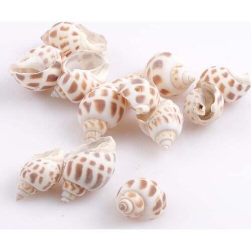 Natural Spiral Shell Loose Beads for Party/Wedding/Home Decoration DIY 40pcs about 24-45mm TRS0131