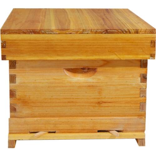 51*41*26cm Thickened Honeycomb Box Waterproof 10 Wooden Frames Beekeeping Equipment Assembled Bee Honey Flow Hive