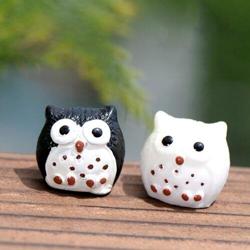 Mix 5 Pcs Owl Figurine Miniatures Graduation Gift Home Decor Garden Decoration