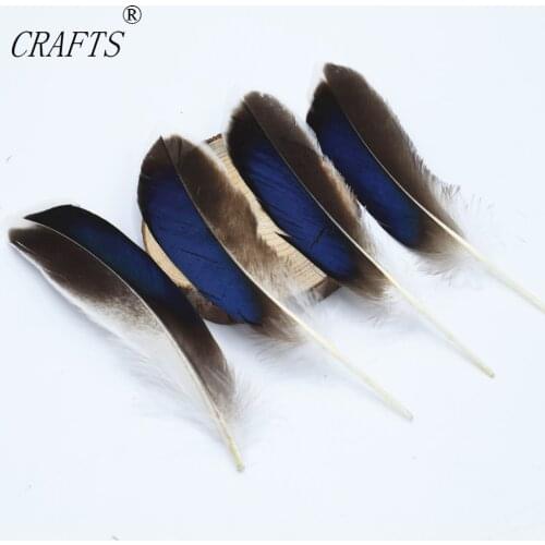 New! 20 pc high quality pheasant feathers, 4-6 "/ 10-15cm DIY jewelry decoration
