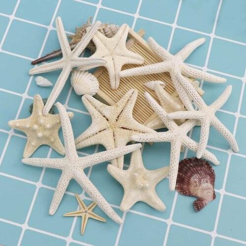 1-6Pcs White Starfish Crafts Decoration Finger Starfish DIY Wedding Decoration Shell Sea Fish Party Beige Starfish Crafts