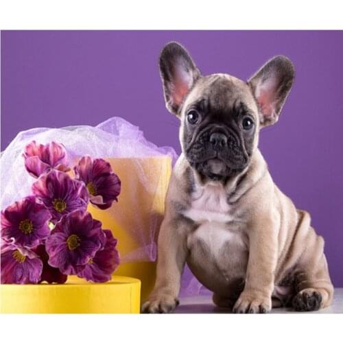 French bulldog Animal,Full Drill diamond embroidery,5d diamond painting,Cross Stitch,3D rhinestones ,Mosaic,Decor