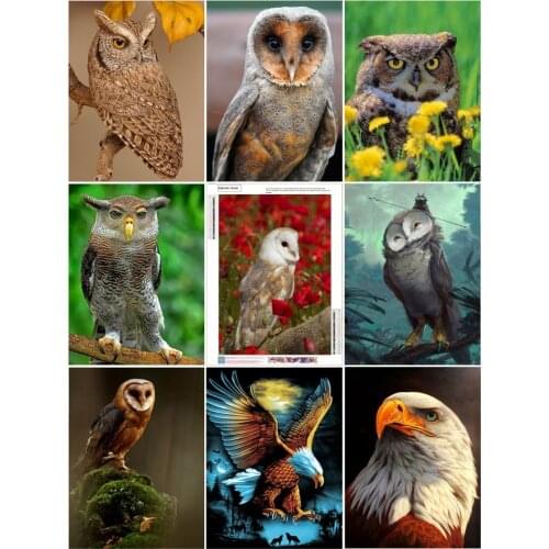 DIY 5D Diamond Painting Kits for Adults Kids Colorful Owl Full Drill Round Diamond Arts Painting Perfect Home Decor