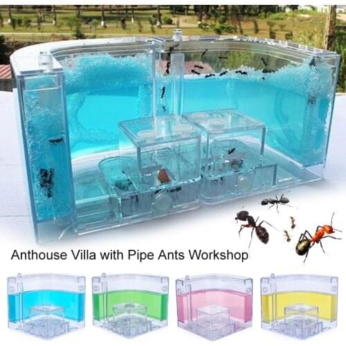 10.8CM Ants House Art Habitat Fanny Ant Nest Decoration Pet Toy Colorful Specially Acrylic Ant Farm Transparent Feeding Area