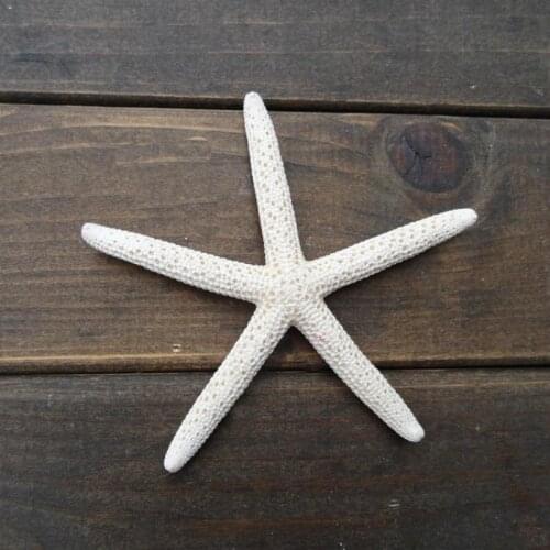 White starfish starfish decoration sea accessories star fish mediterranean decoration sea