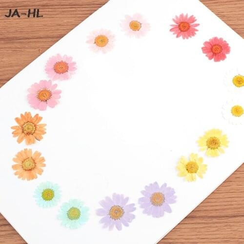 DIY Phone Decoration Artificial & Dried Flowers Pressed Dried Natural Flower Epoxy Resin Nail Craft 24PCS