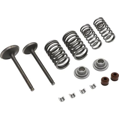 CYLINDER VALVES KIT for CHINESE SSR ROKETA COOLSTER TAOTAO TRUE 125CC ATV DIRT BIKE 125 cc Engine