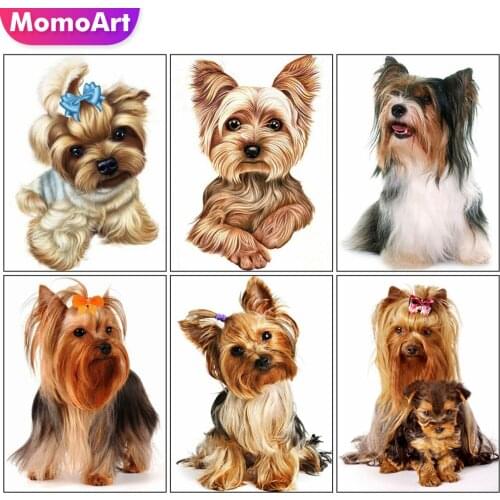 MomoArt 5D DIY Full Square Diamond Painting Dog Rhinestone Art Diamond Embroidery Animal Cross Stitch Mosaic Home Decoration
