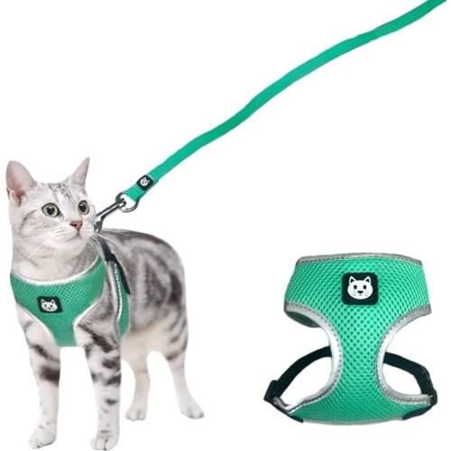 Taotaopets Collars For Cats