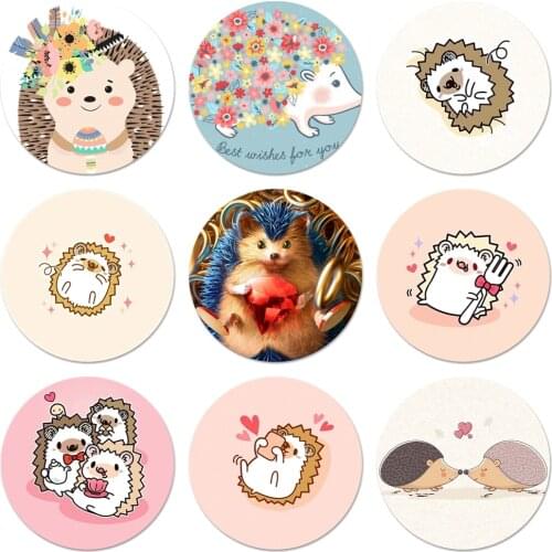 58mm cartoon hedgehog Icons Pins Badge Decoration Brooches Metal Badges For Clothes Backpack Decoration