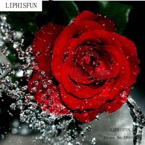 Needlework Diy Diamond Painting Cross Stitch Kit Resin Rose Leaf Square Icon Diamond Embroidery Home Decor