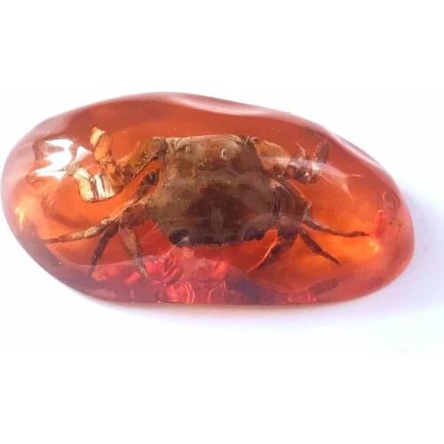 12 pcs real crab insect big size fashion keychain