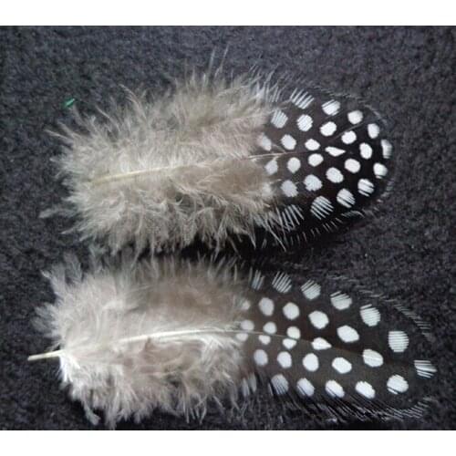 100pcs pretty white guinea fowl feather 5-10cm decorative accessories