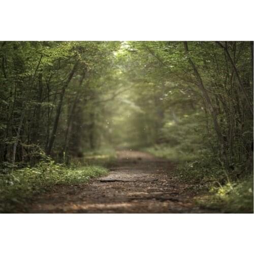 Landscape Backdrop Forest Path Scenery Party Photography Background Holiday Celebration Photo Booth Studio Decor