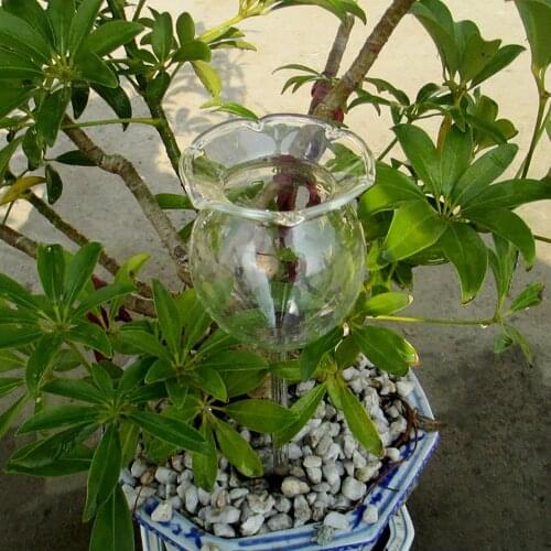 2019 Indoor Automatic Plant Watering Device Flower Glass Garden Sprinkler Irrigation Device Handmade Creative Pop up Sprinkler