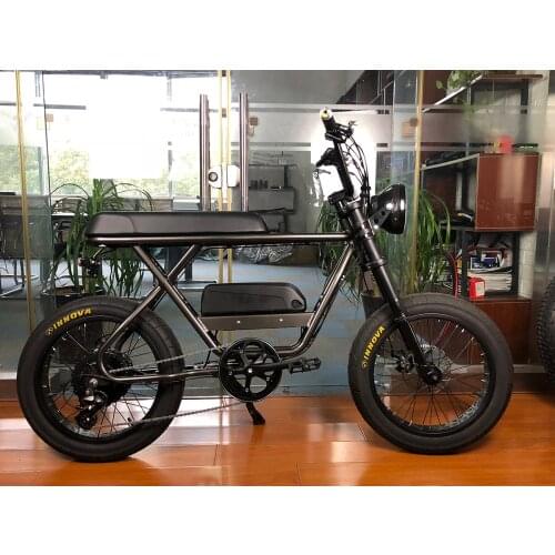 Sam Sung 2600 Battery Cell Aluminum 6061 Frame 48V 750W 14AH Tektro Mechanical Disc-brake 8 speed 20x4.0 Fat Tire Snow Field