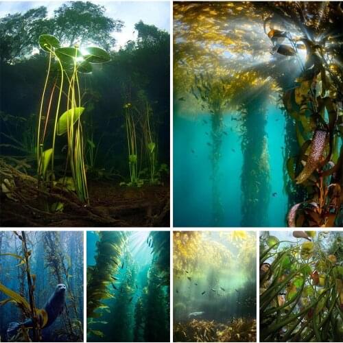 5D DIY Diamond Painting "underwater World" Theme Rhinestone Mosaic Cross Stitch Handmade Decorative Paintings Can Be Customized