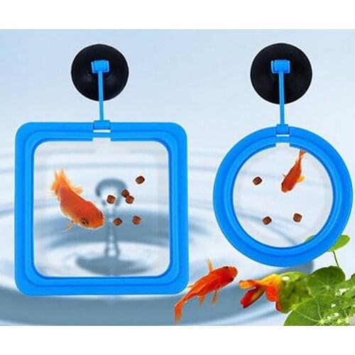 Small And Convenient Round Square Fish Feeding Aquarium Floating Food Water Plant Suction Cup Buoyancy Circle Feeding supplies