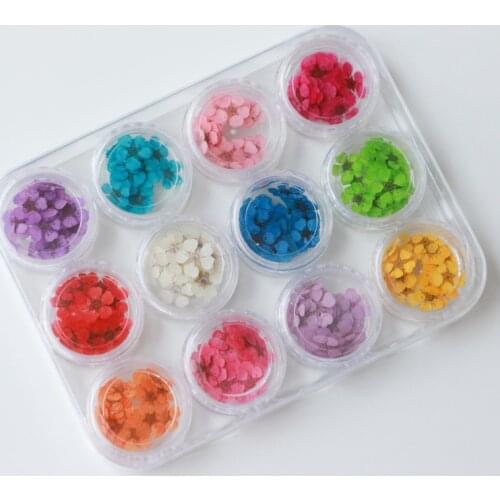 120pcs/box 240cs/box Natural Real Dried Flower Nail Art Decals Leaf Dry Plant for Epoxy Resin Pendant Necklace Making Craft DIY