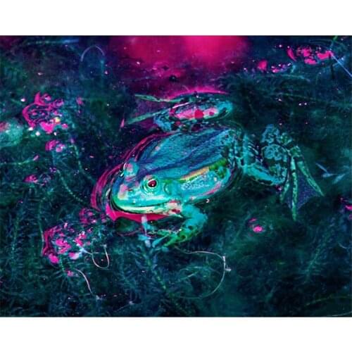 5D DIY Diamond Painting Animal Frog Cross Stitch Patterns Full Drill Resin Diamond Painting kits for Embroidery Home Decor