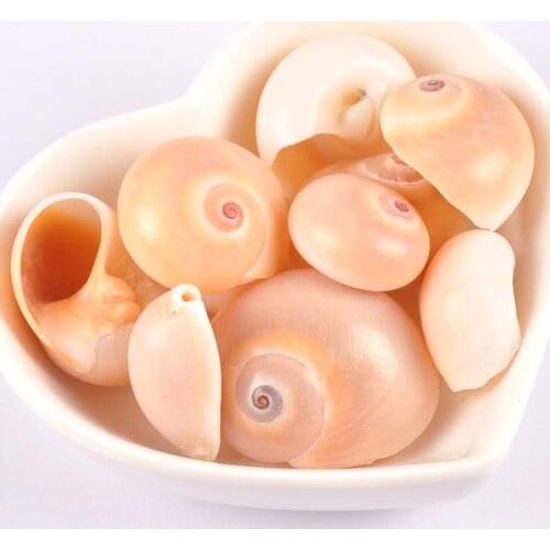 20-35mm spotting pattern Natural Spiral Shell Loose Beads for DIY jewelry making 10pcs not hole TRS0288