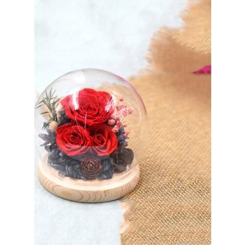 8sets/pack Diameter=10cm Small Size Log Base Glass Dome Vase Home Decoration Round Transparent Cover Friend Gift Wedding Prop