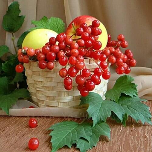 Diy Diamond Painting Cross Stitch Red Grapes And Apples Diamond Mosaic Full Diamond Embroidery Rhinestone Gifts Home Decoration