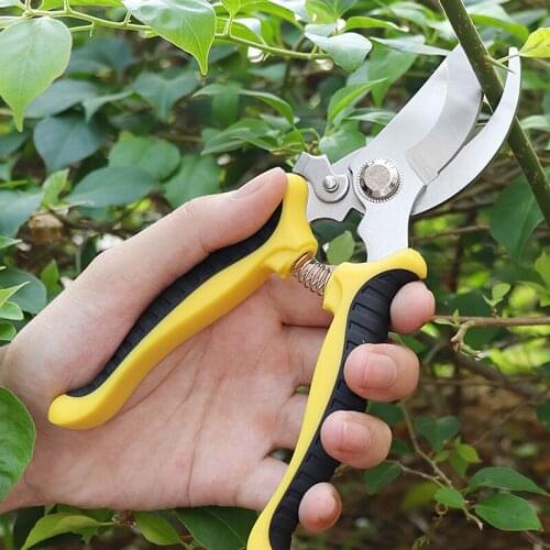 Sharp Pruning Shears Garden Scissors Tree Trimmers Secateurs Multifunctional Pruning Shears Gardening Pruner Stainless Steel