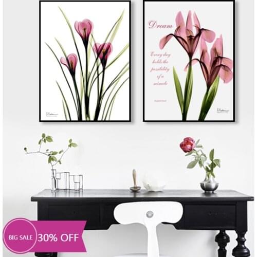 Christmas Decoration Canvas Painting Posters Pink Flowers Narcissus Wall Art Picture for Living Room Decoration Home Deco