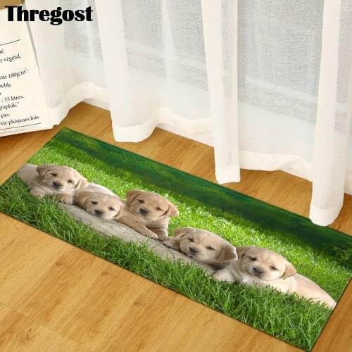Thregost 3D Animal Printed Indoor Mat Kitchen Carpet Anti-Slip Floor Mats Long Living Room Rugs Home Welcome Rug